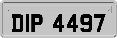 DIP4497