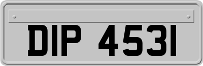 DIP4531