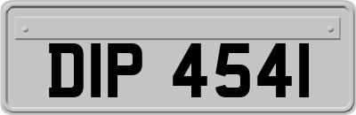 DIP4541