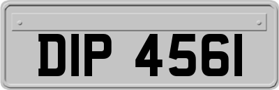 DIP4561