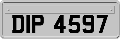 DIP4597