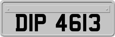 DIP4613
