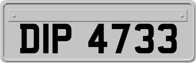 DIP4733