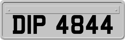 DIP4844