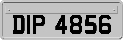 DIP4856