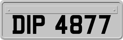 DIP4877