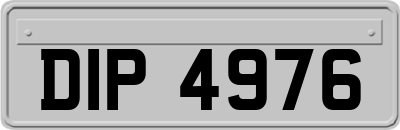 DIP4976