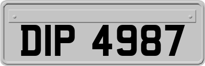 DIP4987