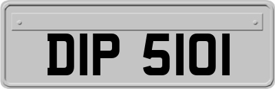 DIP5101
