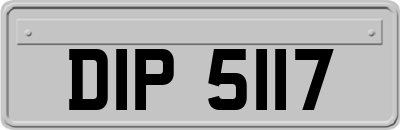 DIP5117
