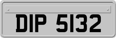 DIP5132