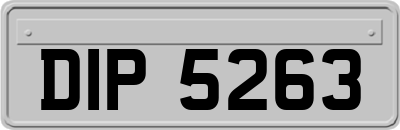 DIP5263