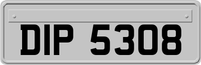DIP5308