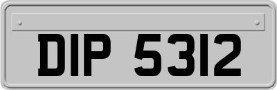DIP5312