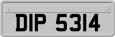 DIP5314