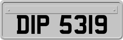 DIP5319