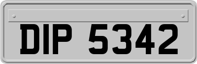 DIP5342