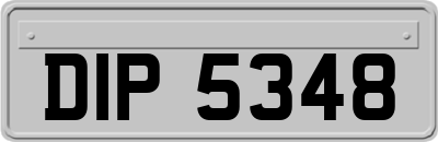 DIP5348