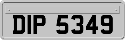 DIP5349