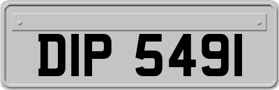 DIP5491