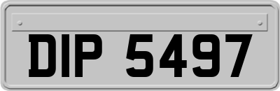 DIP5497