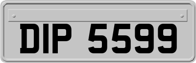 DIP5599