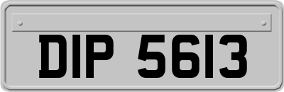 DIP5613