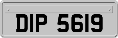 DIP5619