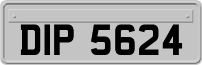 DIP5624