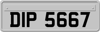 DIP5667