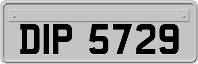 DIP5729