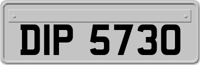 DIP5730