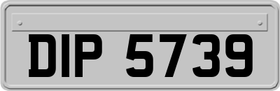 DIP5739