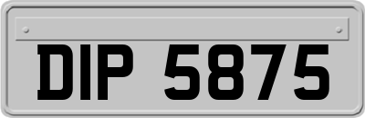 DIP5875