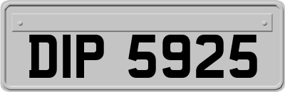 DIP5925