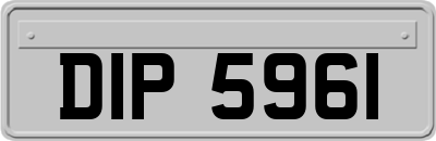 DIP5961