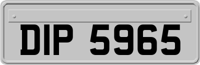 DIP5965