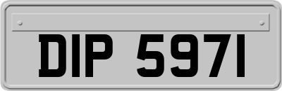 DIP5971