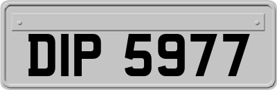 DIP5977
