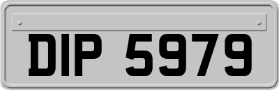 DIP5979