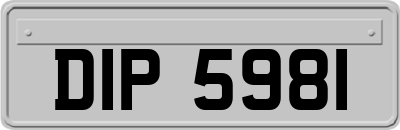 DIP5981