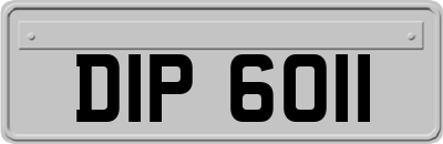DIP6011