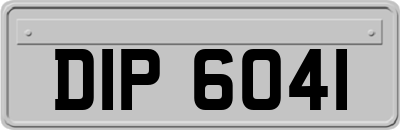DIP6041