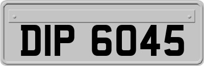 DIP6045