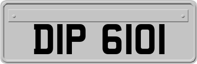 DIP6101