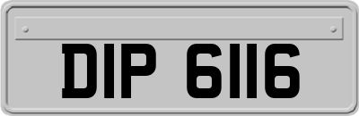 DIP6116
