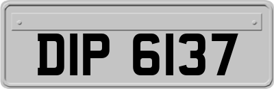 DIP6137