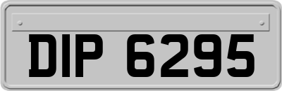 DIP6295