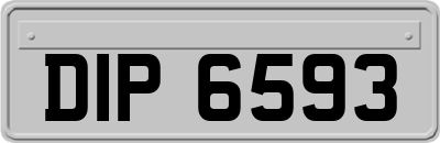 DIP6593