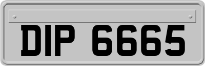 DIP6665
